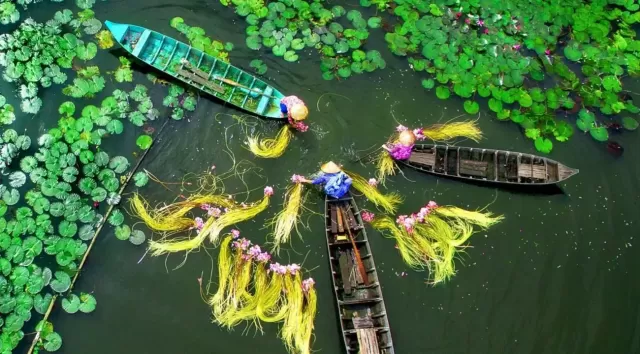  Las 7 Ciudades Más Bellas de Vietnam: Una Guía por su Patrimonio, Playas y Naturaleza