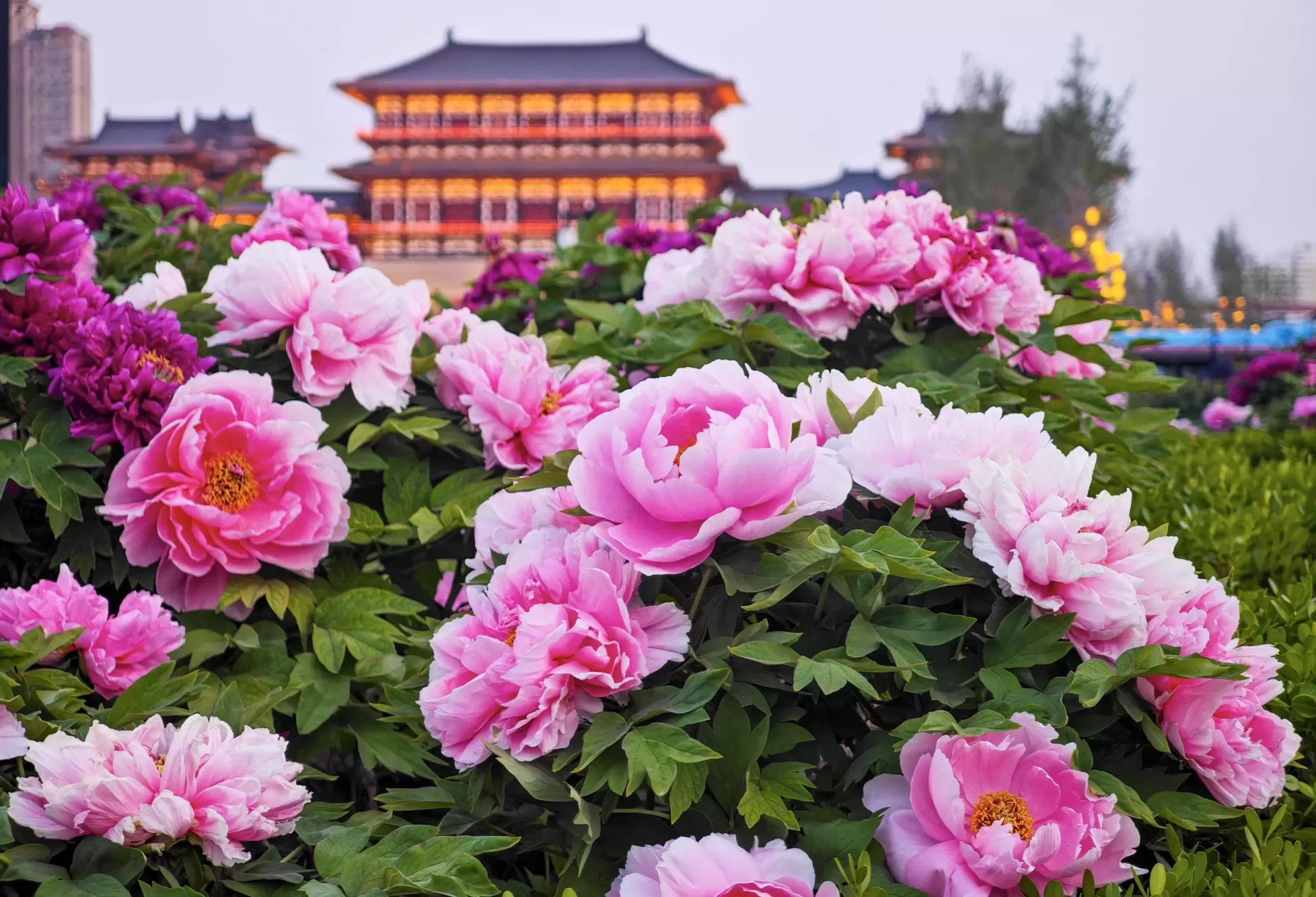 Presupuesto para 2 semanas en China + qué empacar en primavera (guía completa 2026)